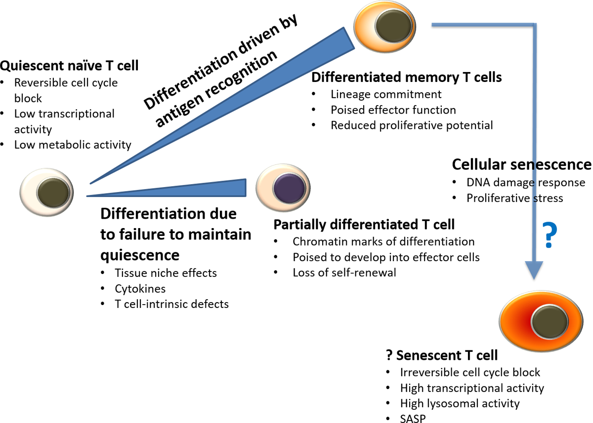 Figure 3 |