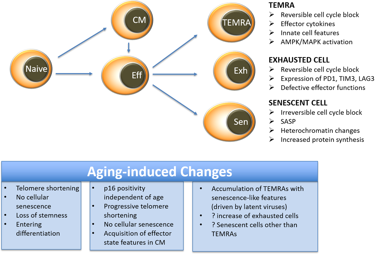 Figure 4 |