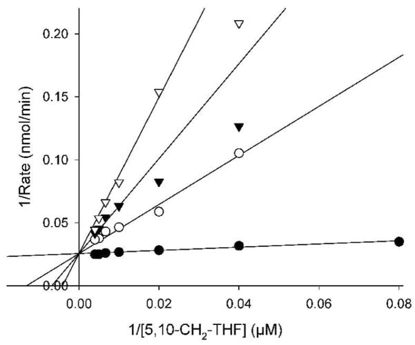 FIG. 6