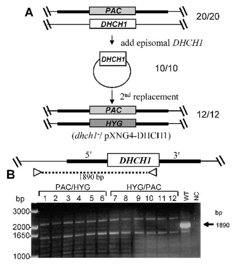 FIG. 3