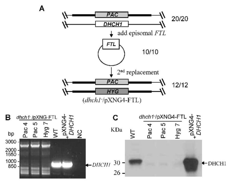 FIG. 4