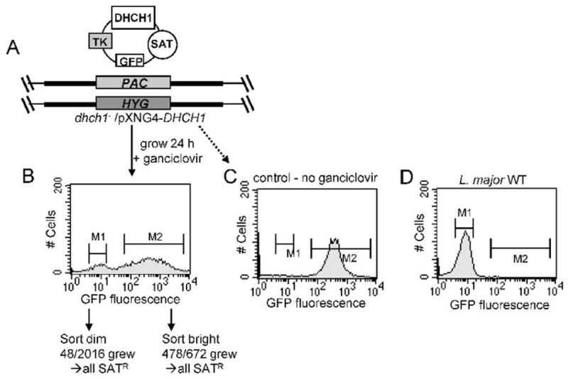 FIG. 5