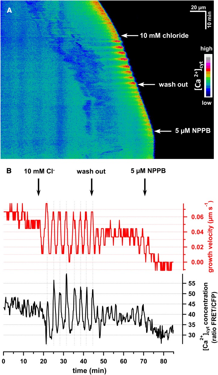 Figure 2.