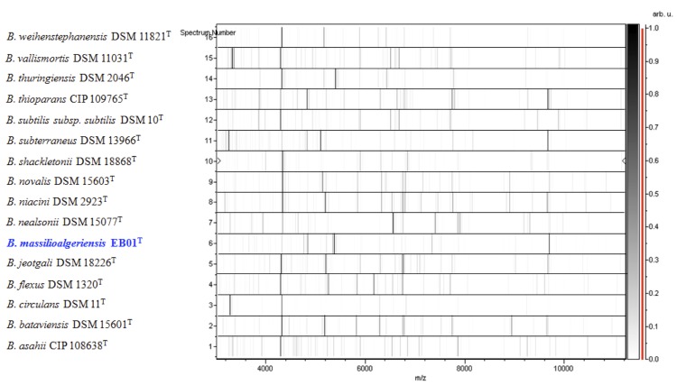 Figure 5