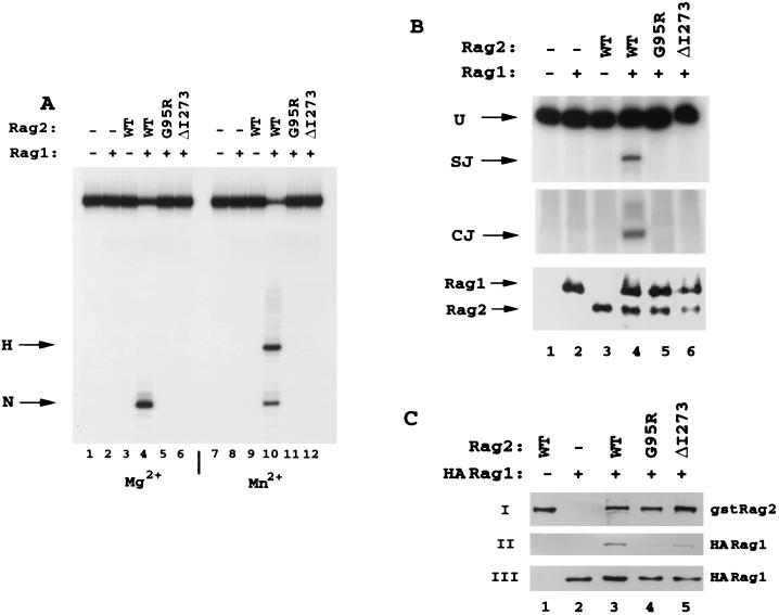 FIG. 3