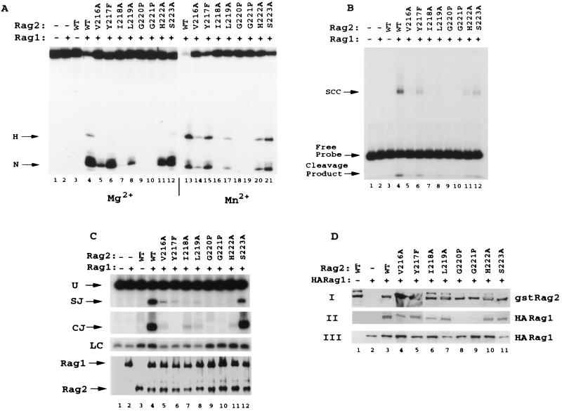 FIG. 6