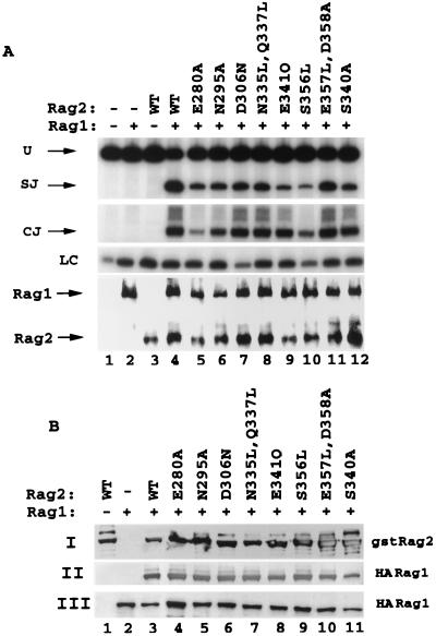 FIG. 7