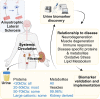 Graphical Abstract