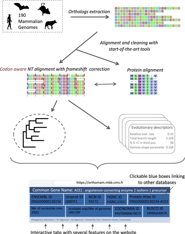 Graphical Abstract