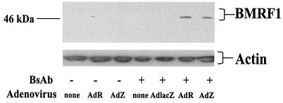 FIG. 7