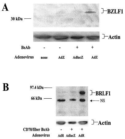 FIG. 6