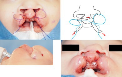 graphic file with name CCR3-13-e70694-g004.jpg