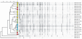 Fig. 3.