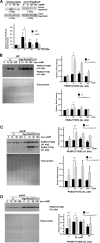 FIGURE 6: