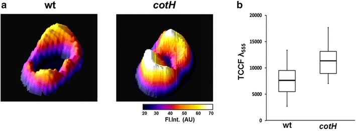 Fig. 5