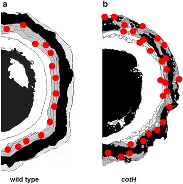 Fig. 9