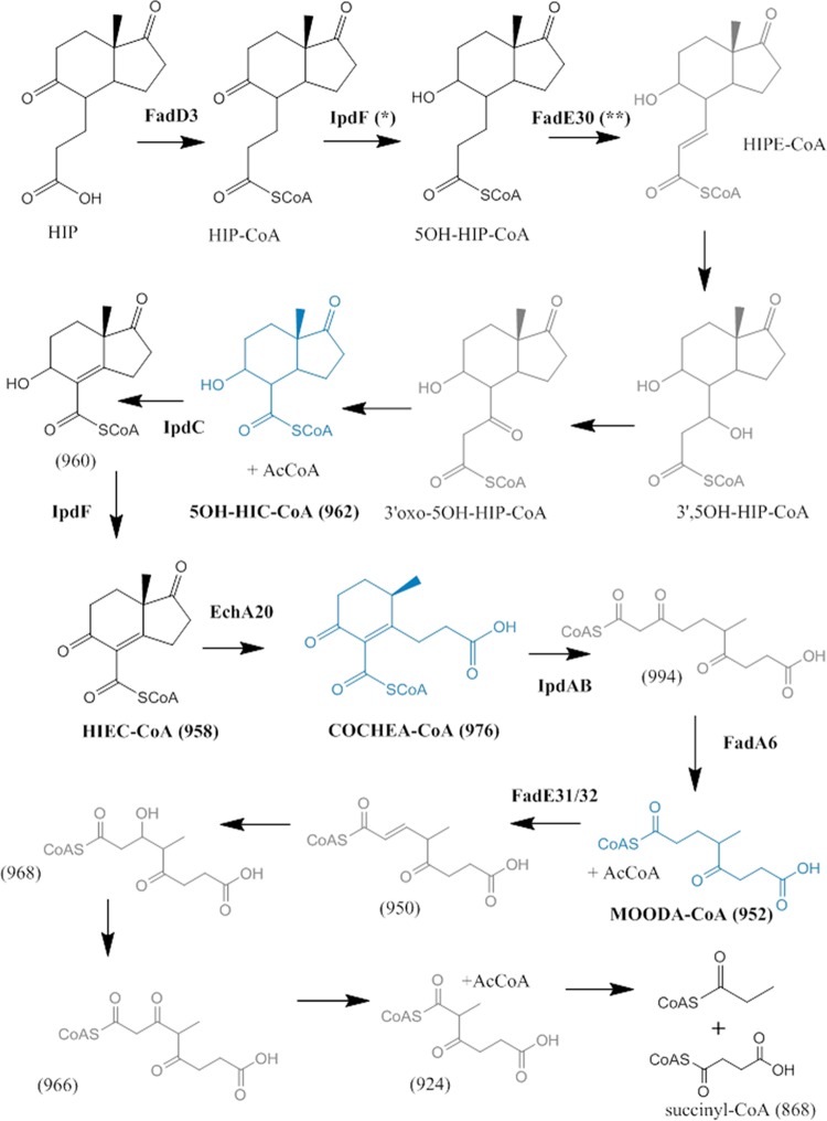 FIG 9 