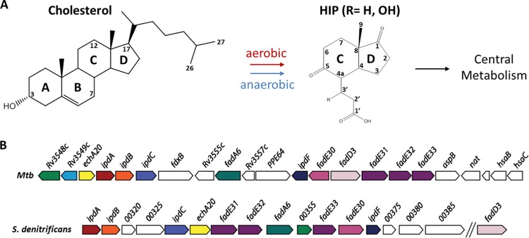 FIG 1 