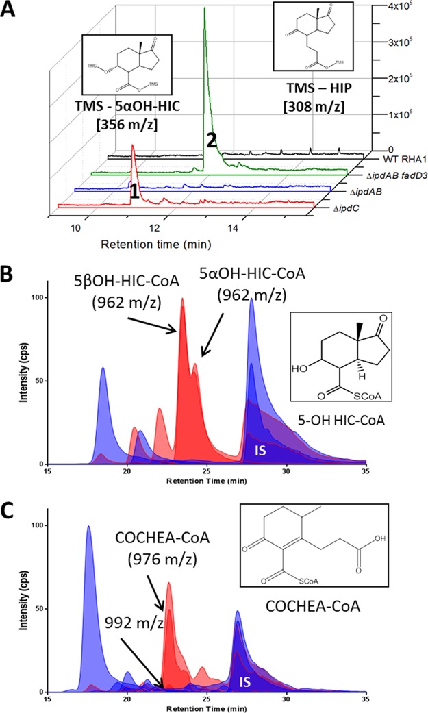 FIG 4 