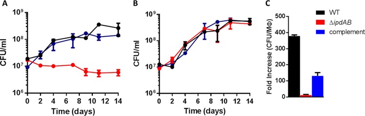 FIG 2 