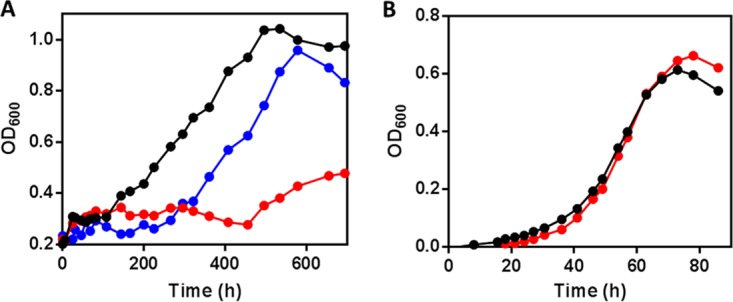 FIG 3 