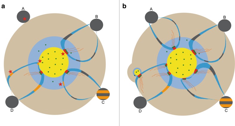 Fig. 3