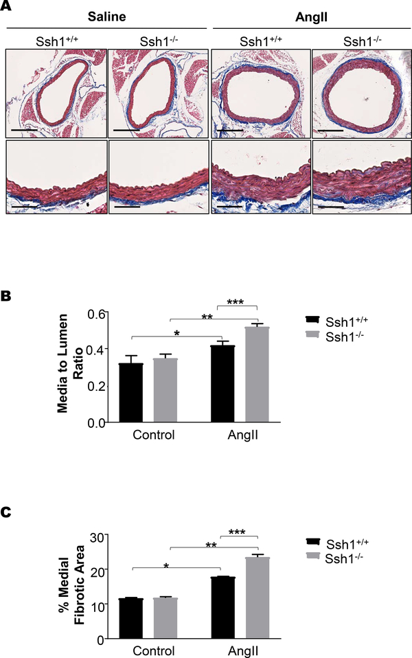 Figure 5: