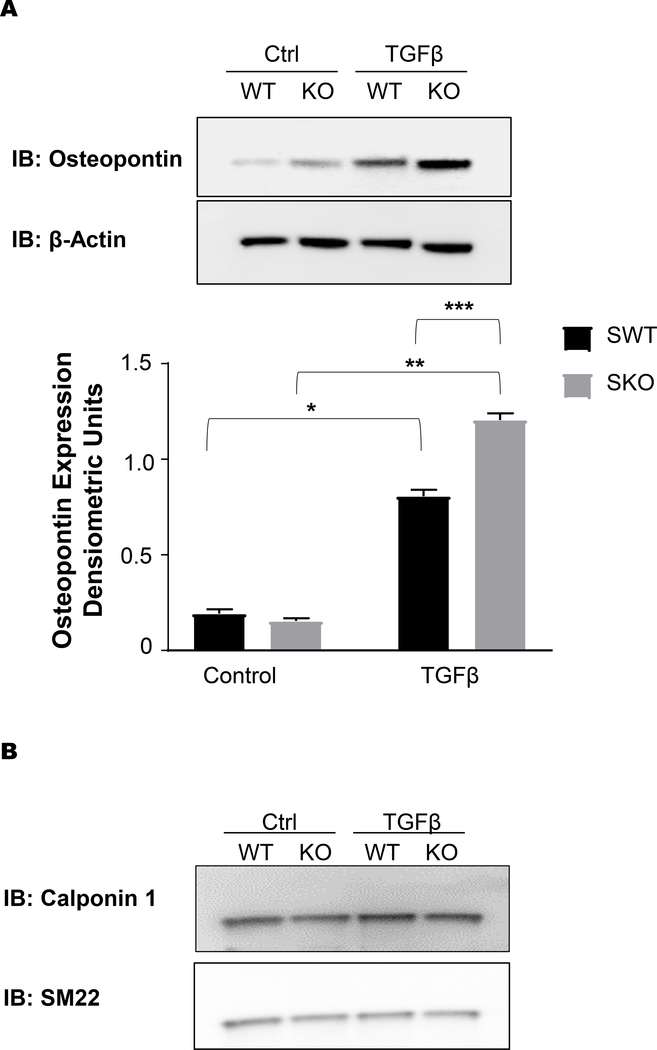 Figure 10: