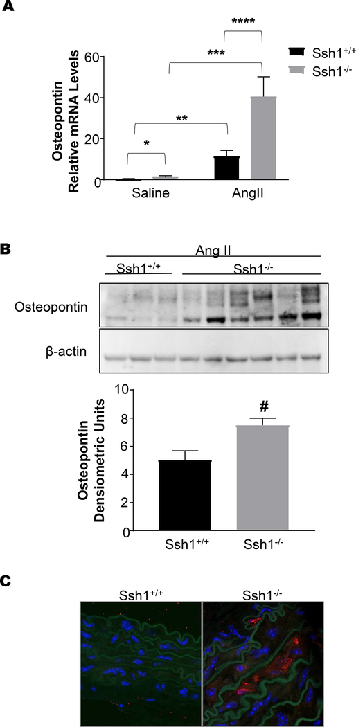 Figure 7: