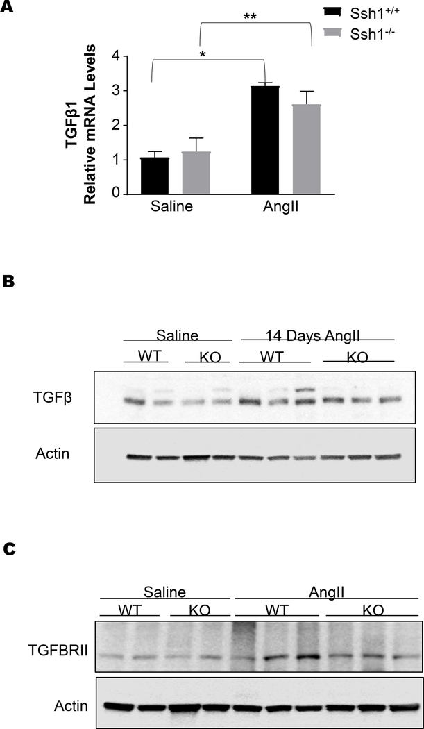 Figure 9: