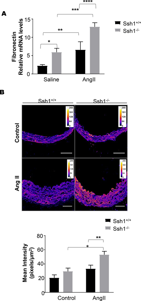 Figure 6: