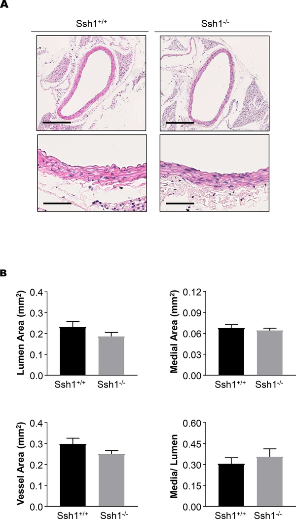 Figure 2: