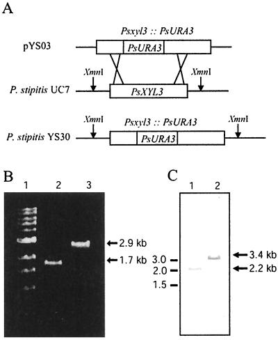 FIG. 3.