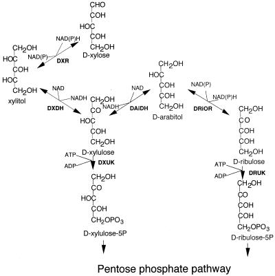 FIG. 7.