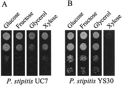 FIG. 4.