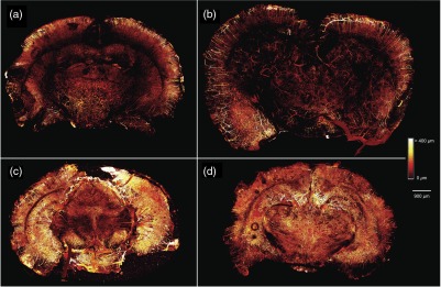 Fig. 5