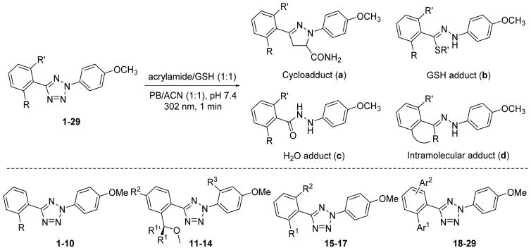 Scheme 2