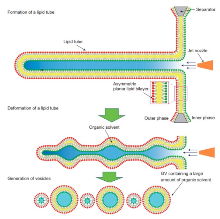 Figure 8