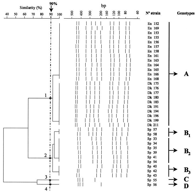 FIG. 3