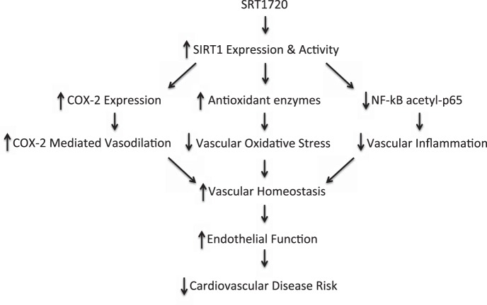 Fig. 8.