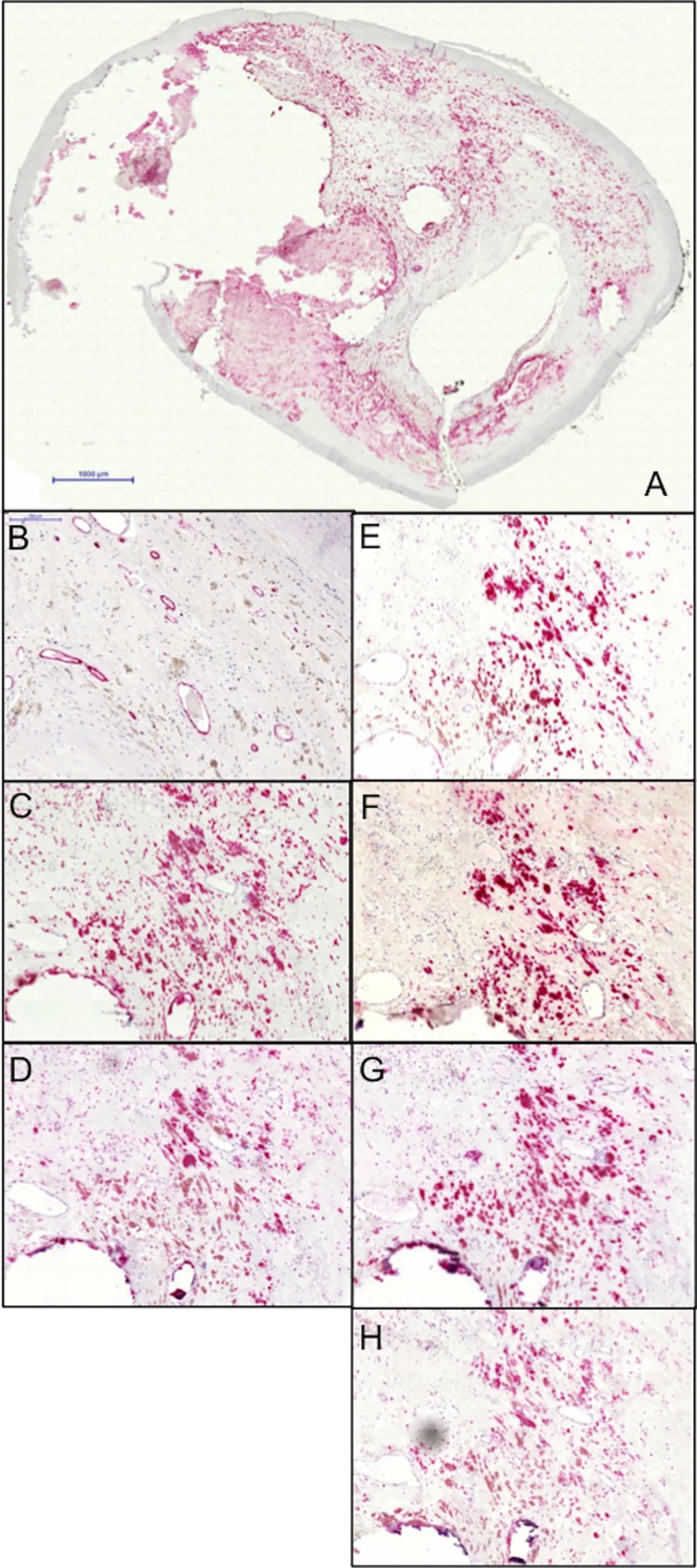 Fig 4