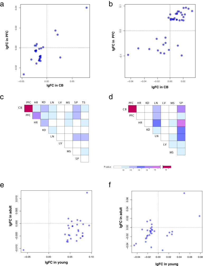 Figure 5—figure supplement 1.