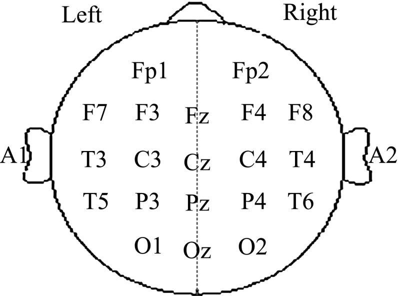 Fig. 1