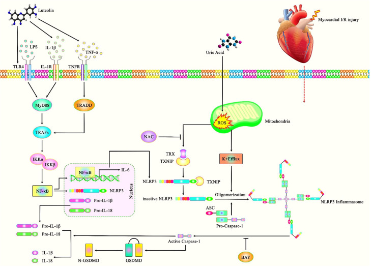 Figure 3