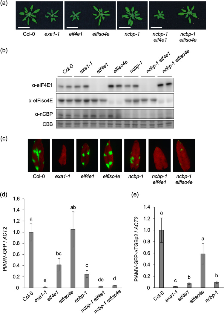 FIG 4