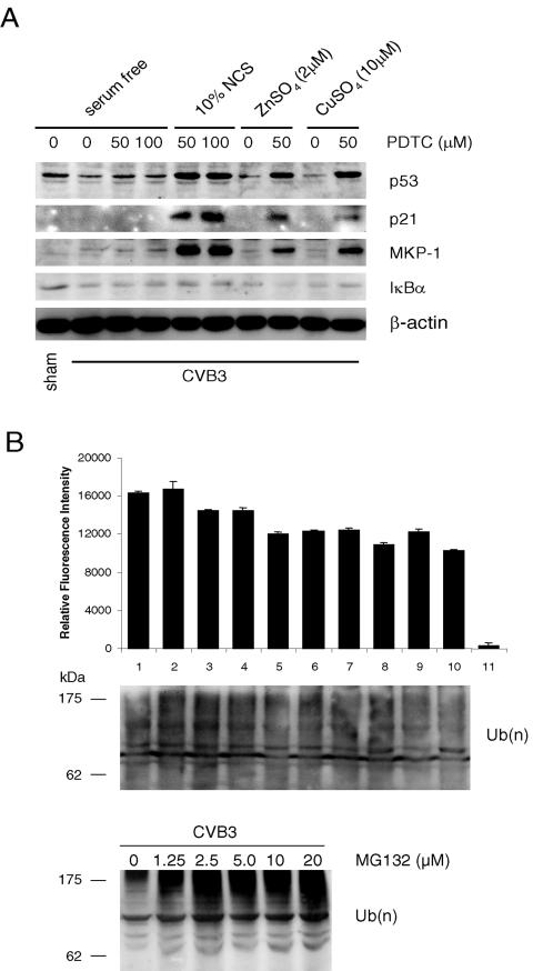 FIG. 7.