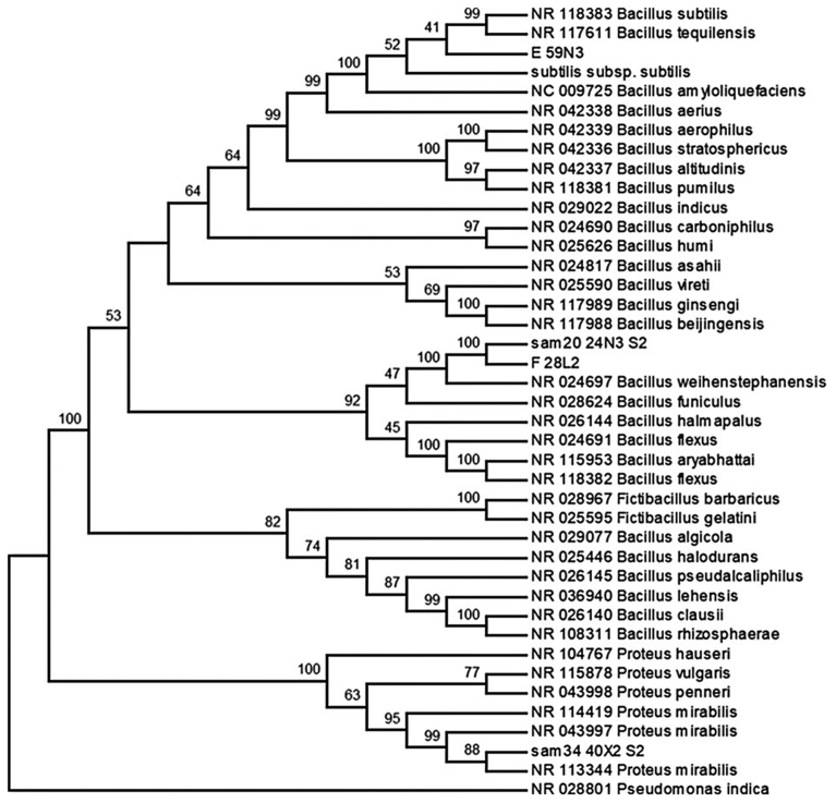 Fig. 2