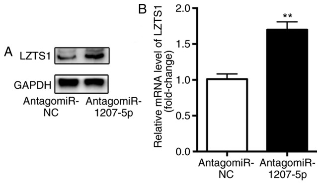 Figure 3.