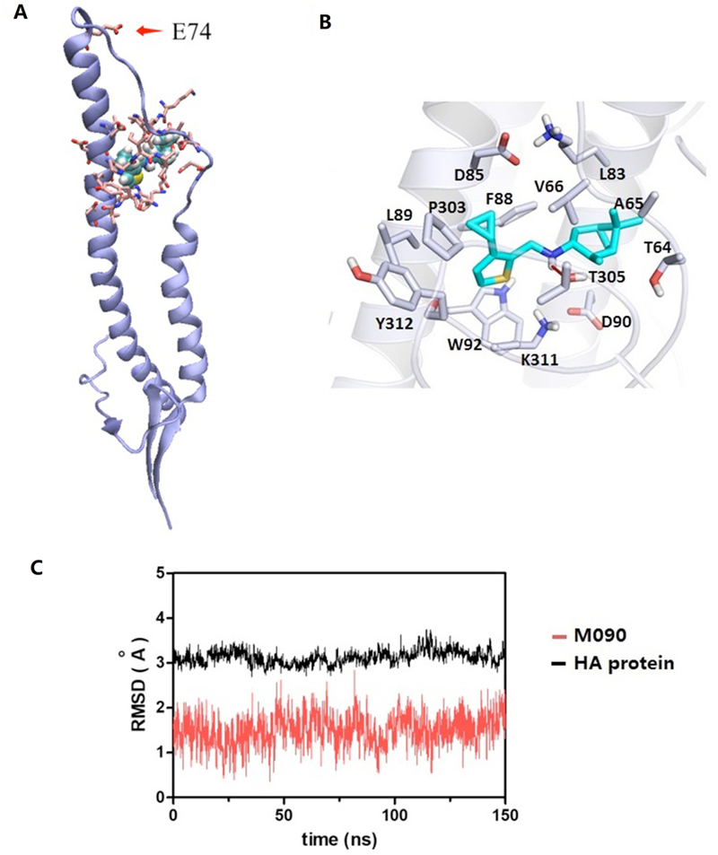 Figure 5.