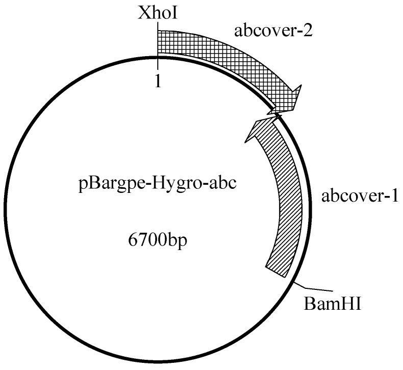 Figure 9